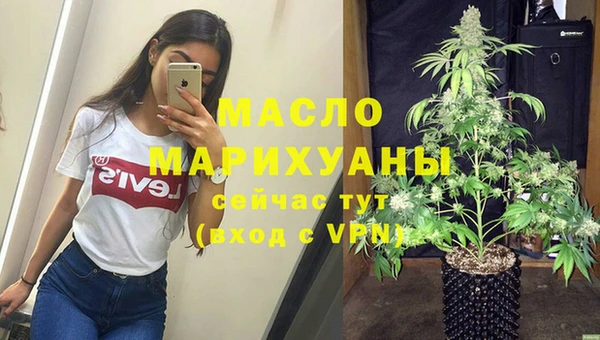 дмт Алексин
