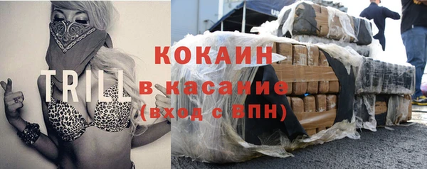 молекула духа Алексеевка