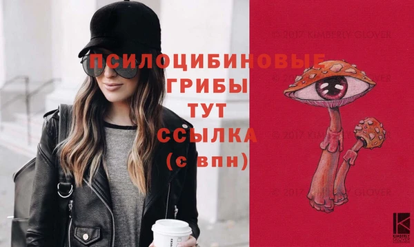 a pvp Абинск