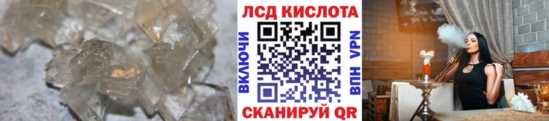 blacksprut ссылки  Сураж  Лсд 25 экстази кислота 