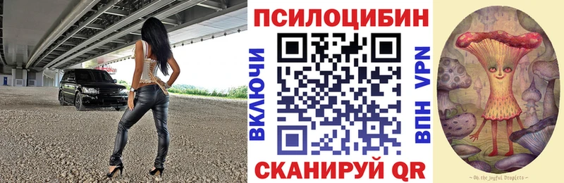 Псилоцибиновые грибы Psilocybe  Сураж 